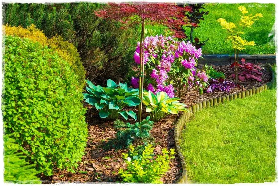 przygotowanie podłoża pod r&oacute;żaneczniki