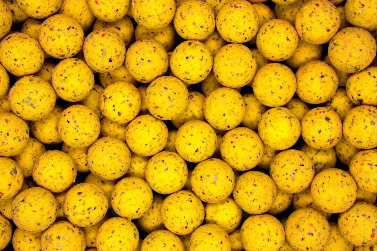 Wędkarz nęcący łowisko zanętą sypką