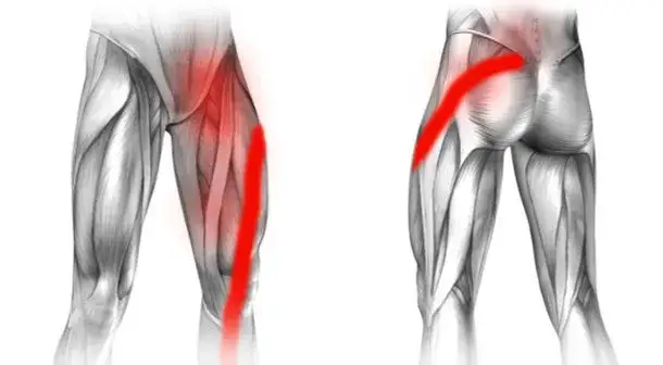 Zdjęcie Ból w pachwinie: do jakiego lekarza się zgłosić, by nie czekać?