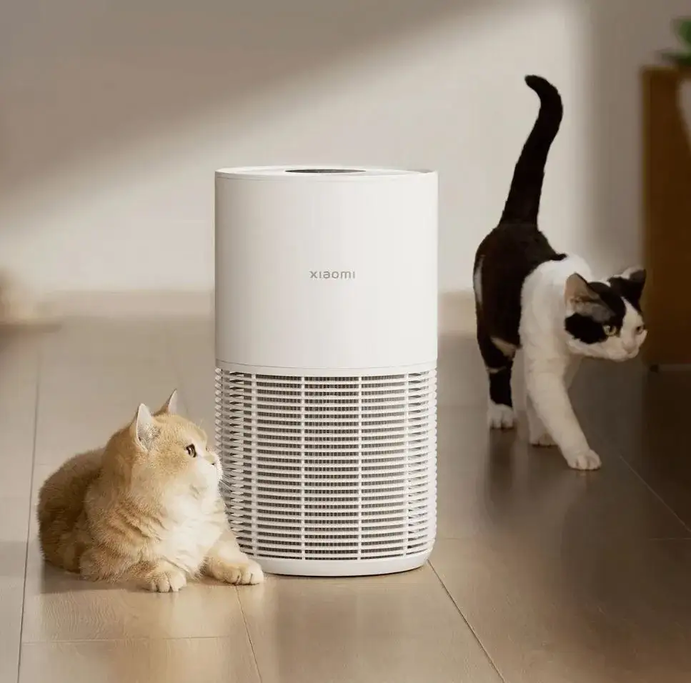 oczyszczacz powietrza w domu z kotem