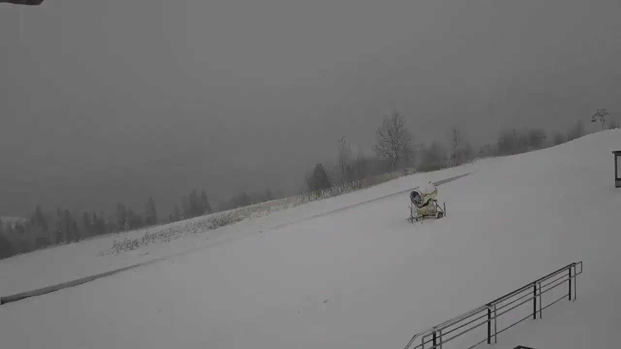 Śnieg na stoku w Bukowinie Tatrzańskiej. Widoczna armatka śnieżna, drzewa i wyciąg. Bukowina ski kamery pokazują zimową aurę.