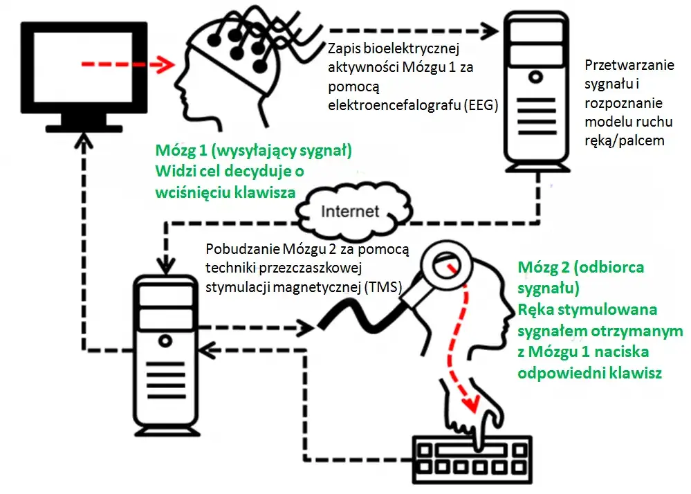 interfejs mózg-komputer schemat