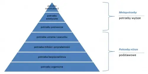Zdjęcie Jak jest hierarchia potrzeb ludzkich i dlaczego jest tak ważna?