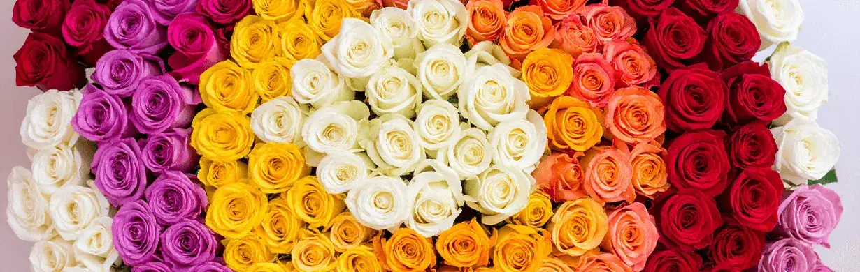 Zdjęcie Ile r&oacute;ż na prezent? Poznaj znaczenie i uniknij gaf