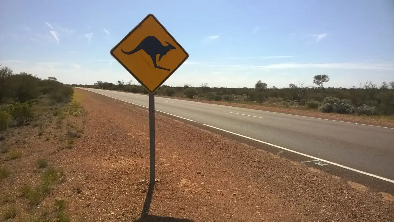 Zdjęcie Czy w Australii jest bezpiecznie? Odkryj niebezpieczeństwa i zagrożenia
