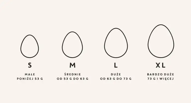 Jajka kurze rozmiary S M L XL
