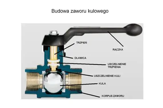 Zaw&oacute;r kulowy przekr&oacute;j budowa