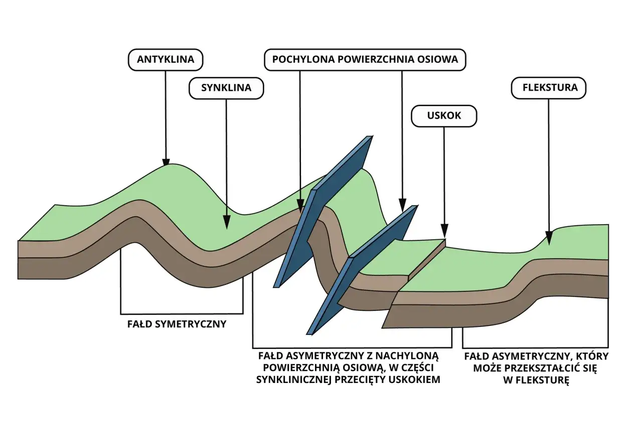 Ilustracja pokazuje fałdy i uskoki, które mogą pomóc zrozumieć, czy Karpaty to góry zrębowe.