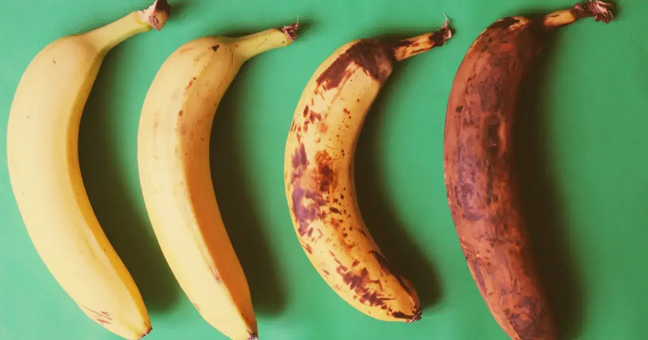 Różne stopnie dojrzałości bananów