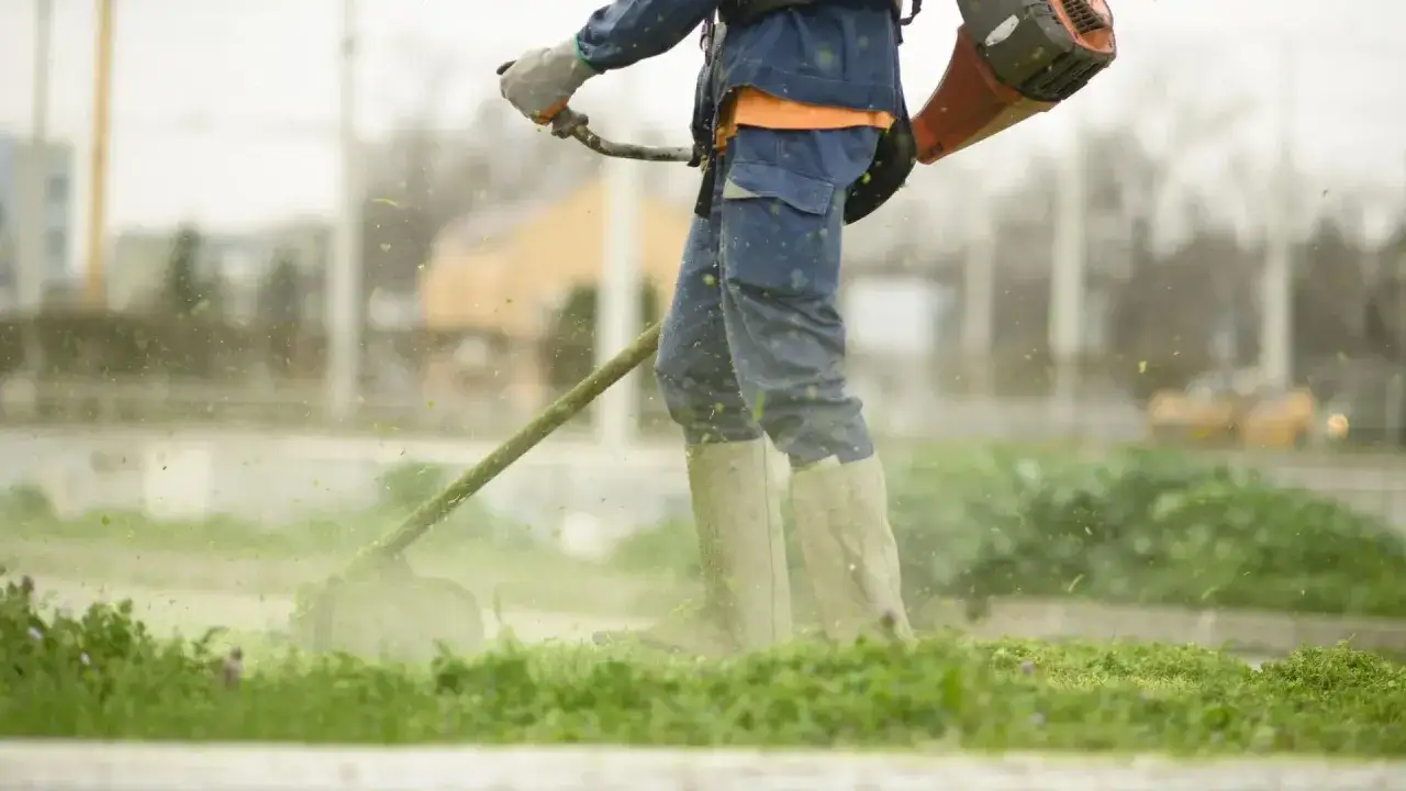 Osoba w gumowcach i niebieskich ogrodniczkach kosi trawę podkaszarką. W powietrzu latają ścinki, co może świadczyć o zbyt częstym koszeniu trawy.