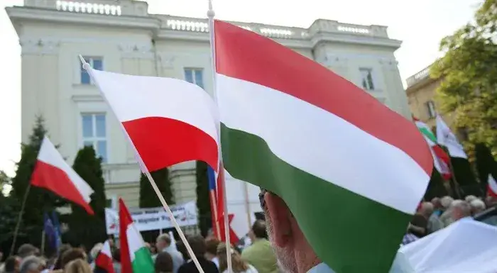 Wsp&oacute;lni kr&oacute;lowie Polski i Węgier