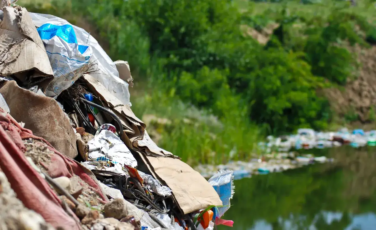 Kary za brak segregacji śmieci