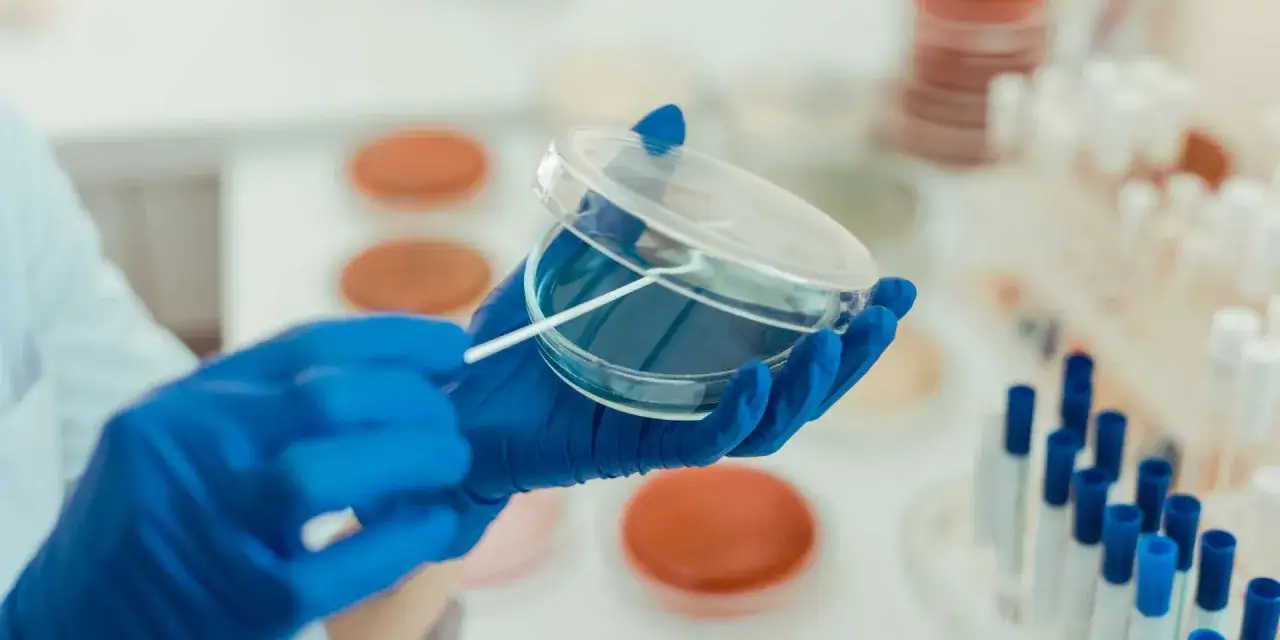 Rękawiczki laboratoryjne chronią dłonie podczas pracy z probówką w laboratorium chemicznym, gdzie służy ona do przechowywania i analizy próbek.