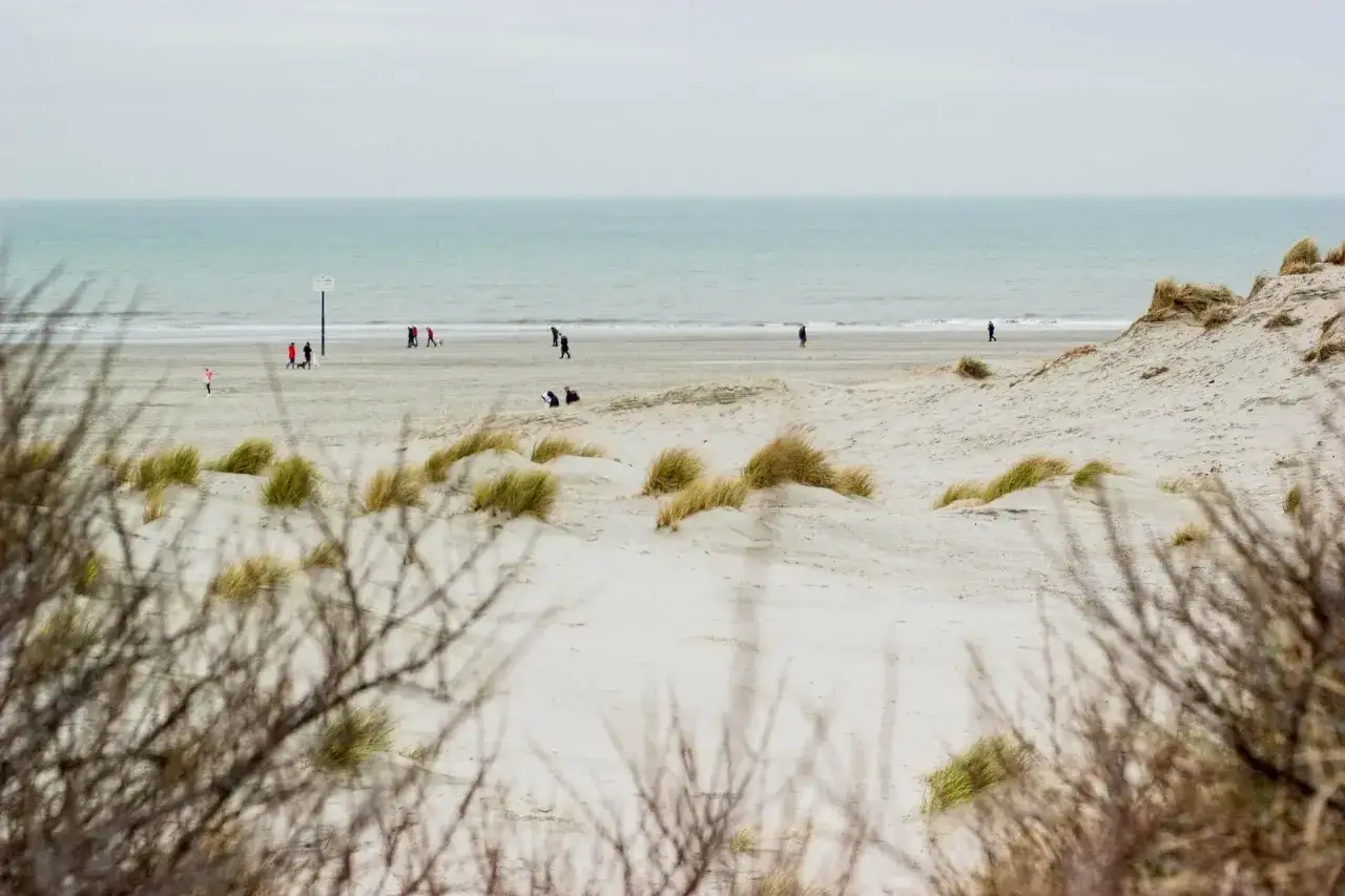 Plaża w Hoek van Holland, z widokiem na morze i kilka osób spacerujących po piasku. Prom do Harwich w oddali.