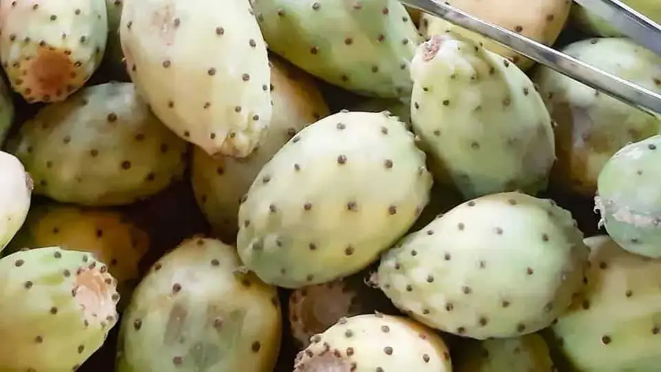 Fuerteventura lokalny targ produkty spożywcze