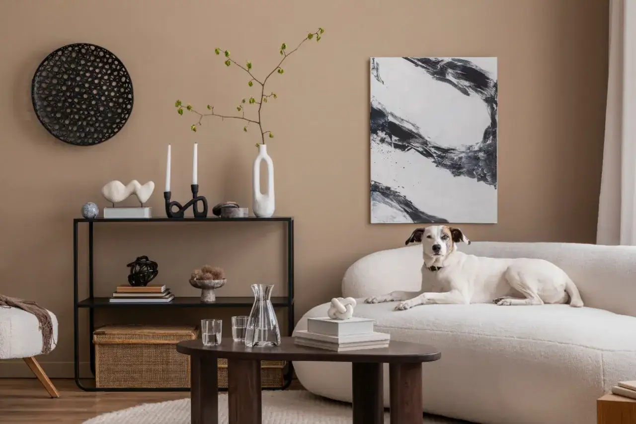 Pies na kanapie w salonie z **modnymi kolorami farb do pokoju** w tle. Wnętrze zdobią czarno-białe obrazy i minimalistyczne dekoracje.