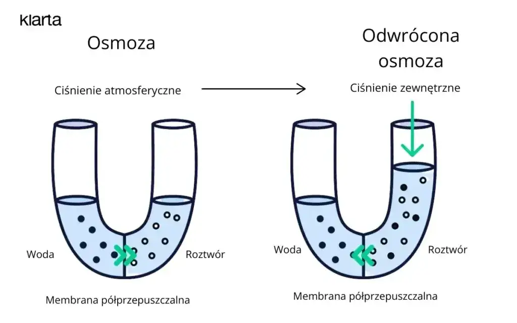schemat osmozy błona p&oacute;łprzepuszczalna