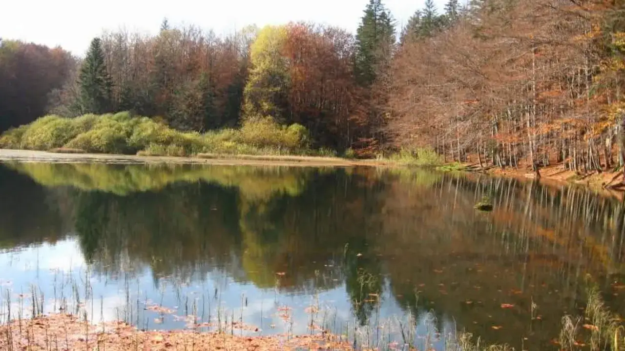 Jesienne barwy lasu odbijają się w spokojnej tafli jeziora. Komańcza oferuje takie widoki, idealne na spacer.