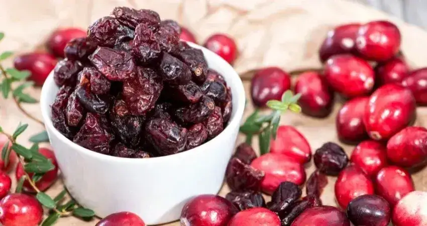 Zdjęcie Czy pies może jeść żurawinę? Sprawdź, co musisz wiedzieć o ryzyku