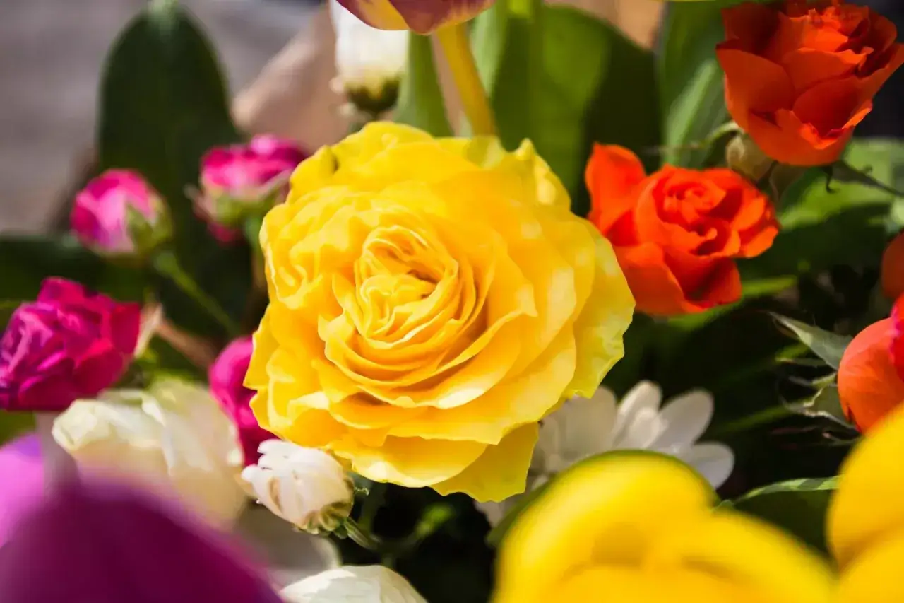 W bukiecie dominują ż&oacute;łte r&oacute;że, otoczone pomarańczowymi, r&oacute;żowymi i białymi kwiatami. To prawdziwe kwiaty zwiastujące wiosnę, pełne życia i koloru.
