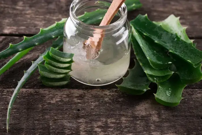 domowe sposoby na pryszcze aloe vera miód olejek herbaciany