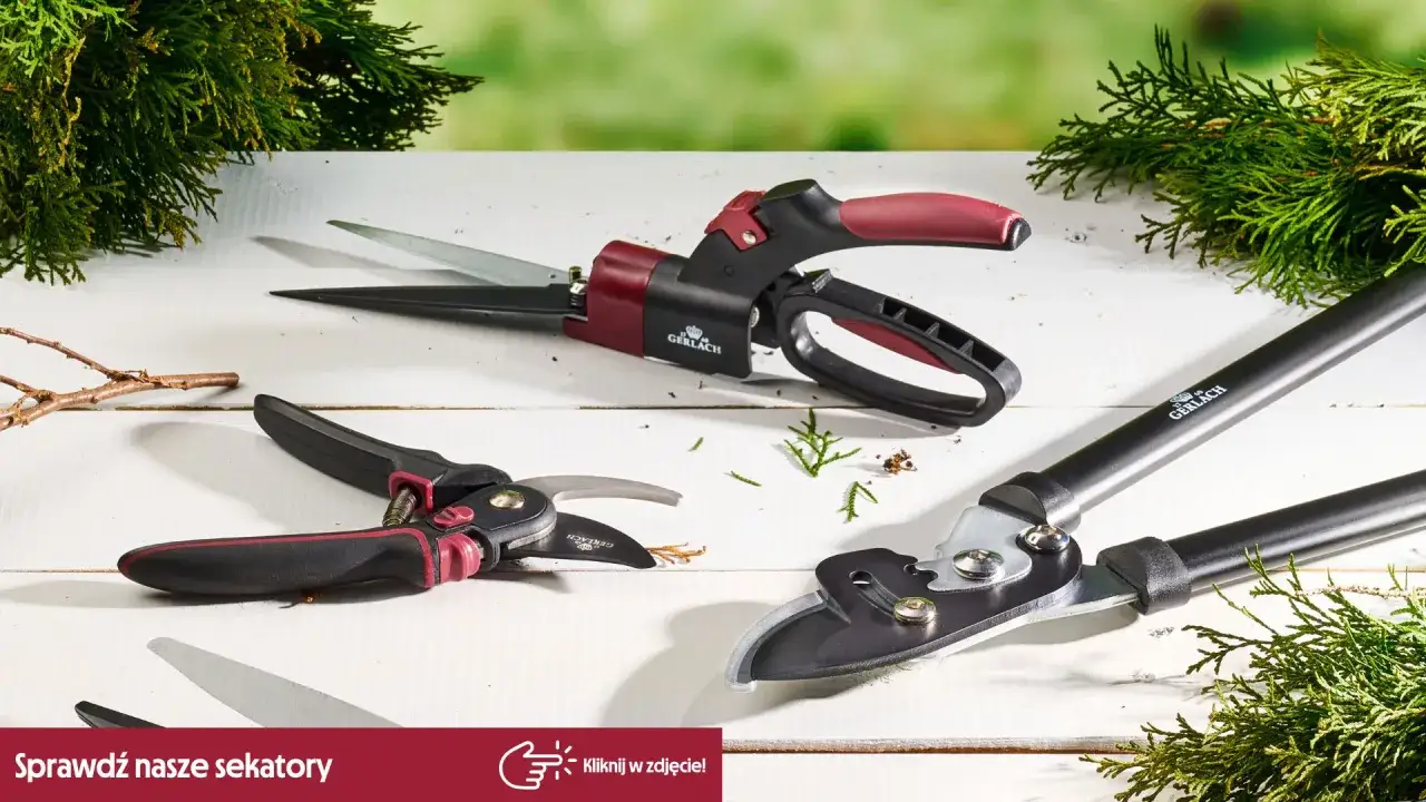 Narzędzia do przycinania drzew owocowych