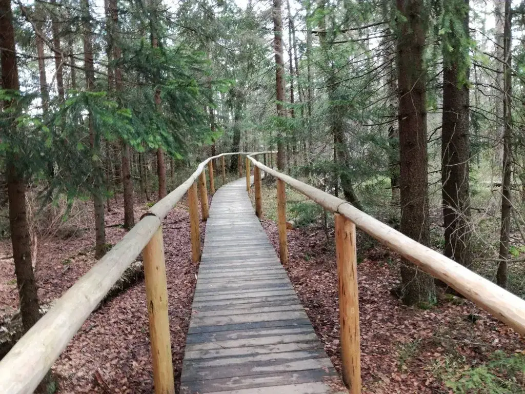 Torfowisko pod Zieleńcem kładki