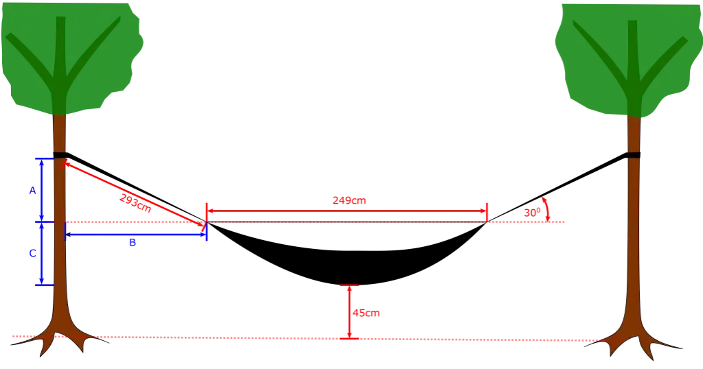 zdrowe drzewa do hamaka, średnica pnia