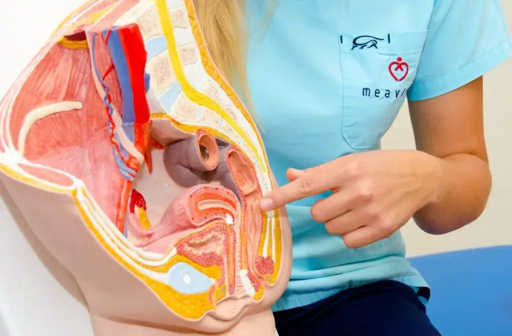 fizjoterapia uroginekologiczna badanie per vaginam