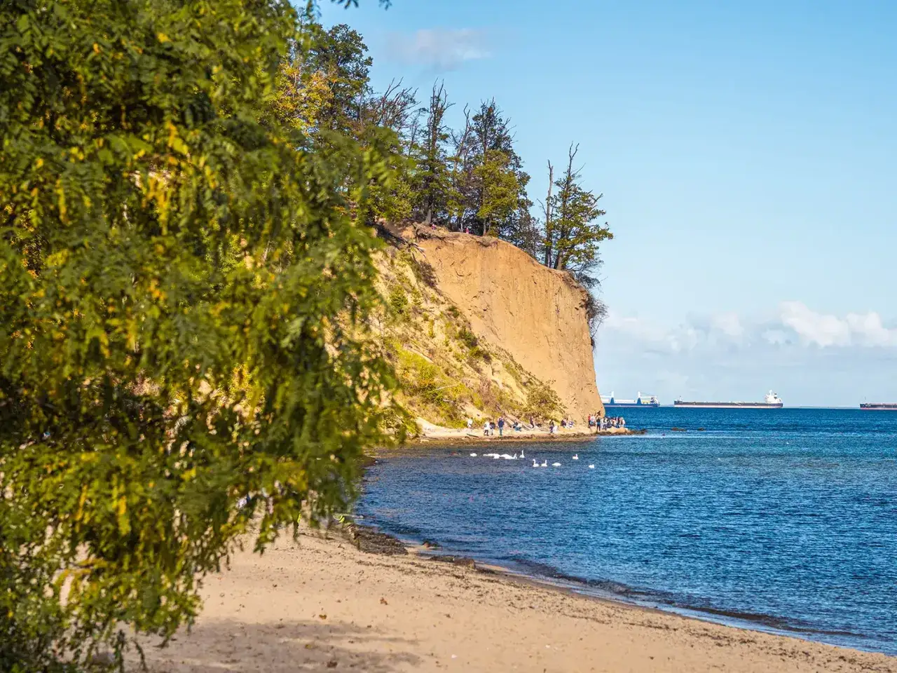Piękna nadmorska trasa spacerowa z Gdyni do Sopotu. Klif, plaża i statki na morzu.