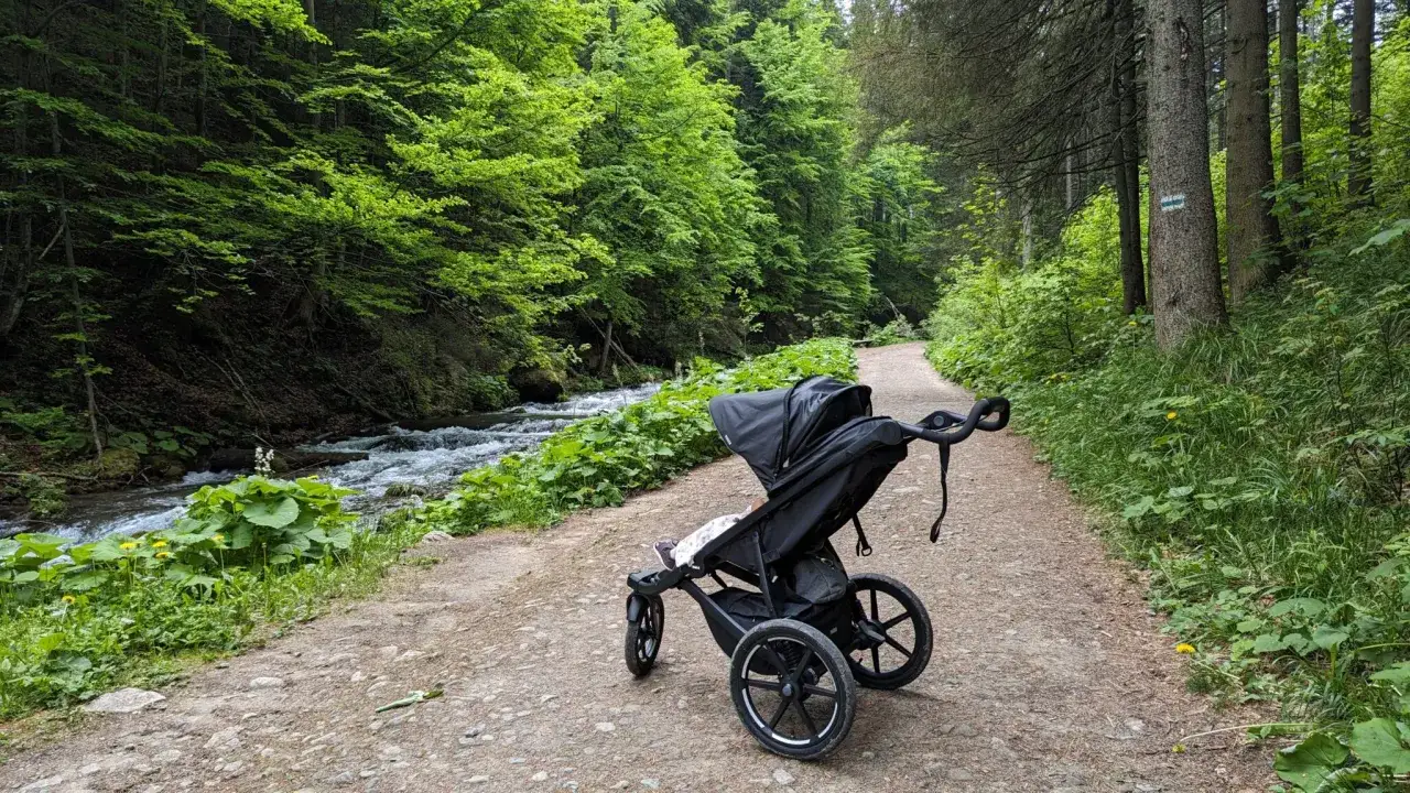 W&oacute;zek na leśnej ścieżce nad potokiem. Idealne miejsce na spacer, jakie szlaki z dzieckiem w Zakopanem?