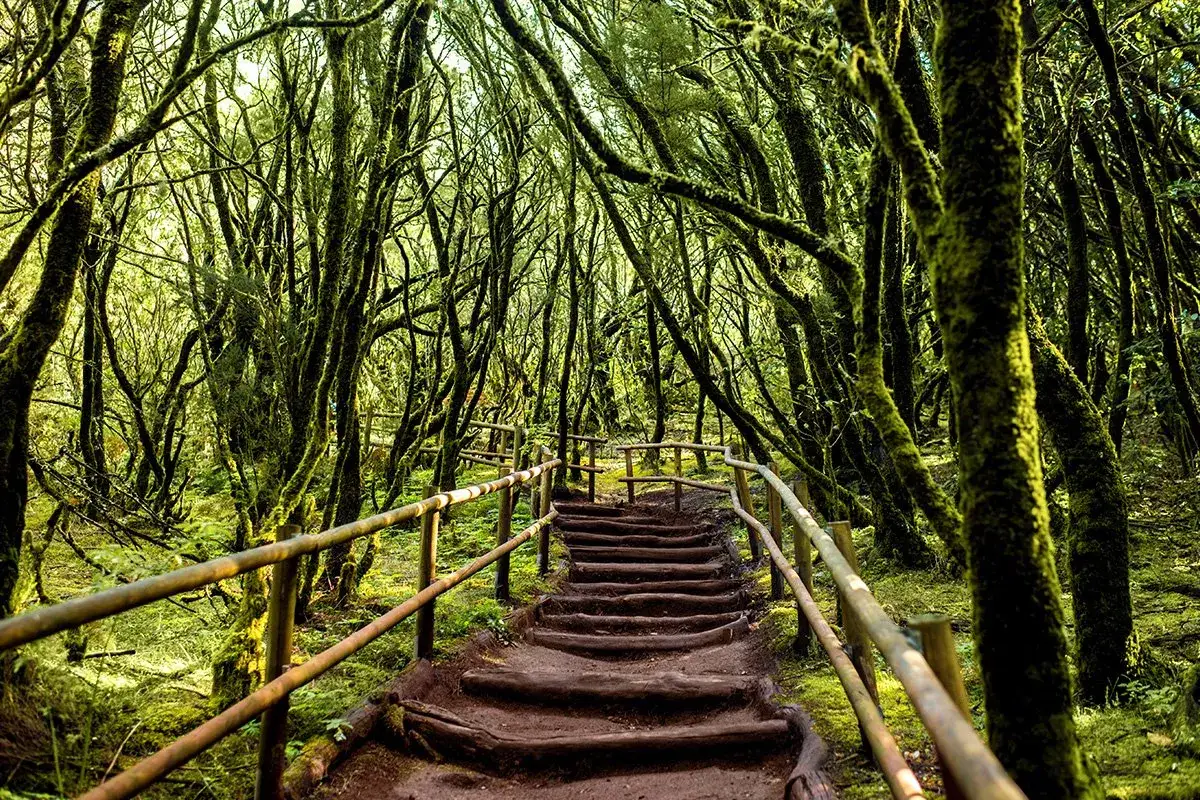 Los &Oacute;rganos La Gomera rejs statkiem