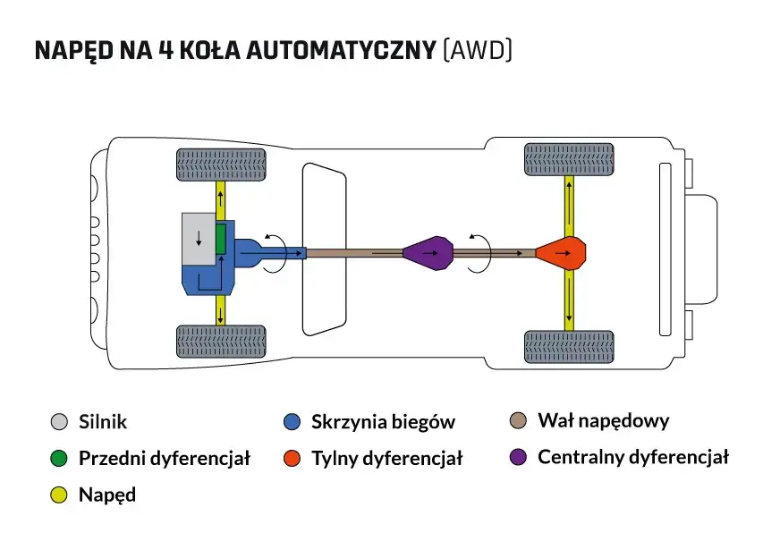 rodzaje dyferencjałów schemat