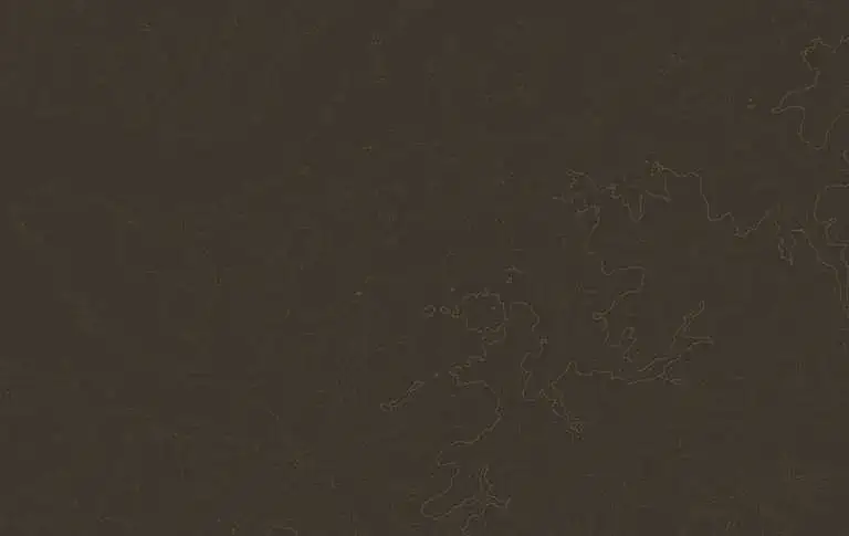 Zdjęcie Najlepsze atrakcje w Miechowie, które musisz zobaczyć podczas wizyty