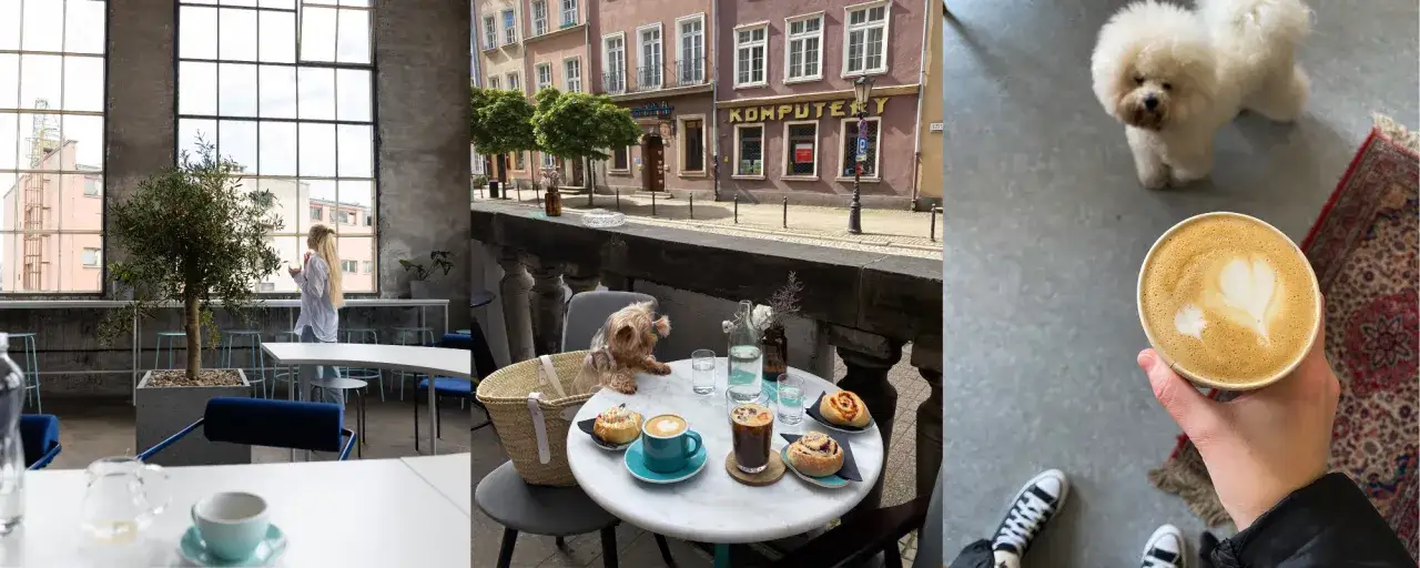 Kawiarnia Oliwa wnętrze kawa ciasto