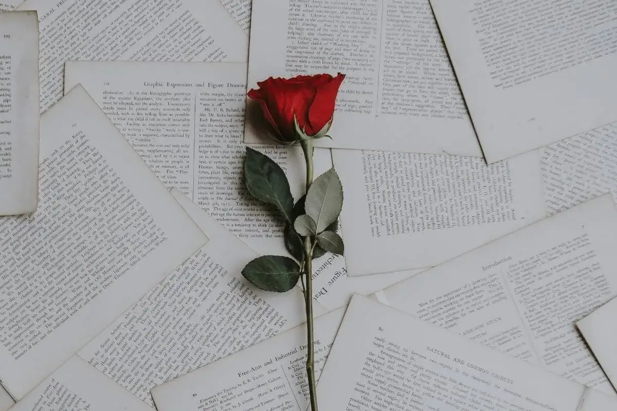 Czerwona r&oacute;ża na starych tekstach. Jakby ktoś chciał napisać 