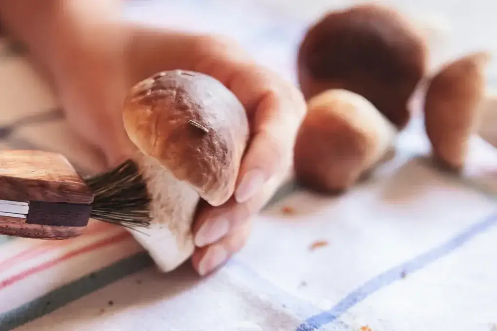 Czyszczenie grzybów suszenie mrożenie marynowanie
