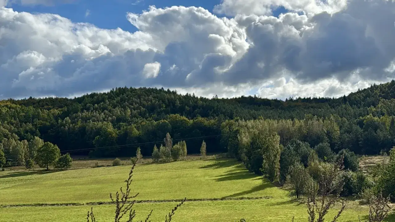 Zielone pola i lasy na Kaszubach, idealne miejsce, gdzie na spacer wybrać się można przy pięknych, chmurzastych niebie.