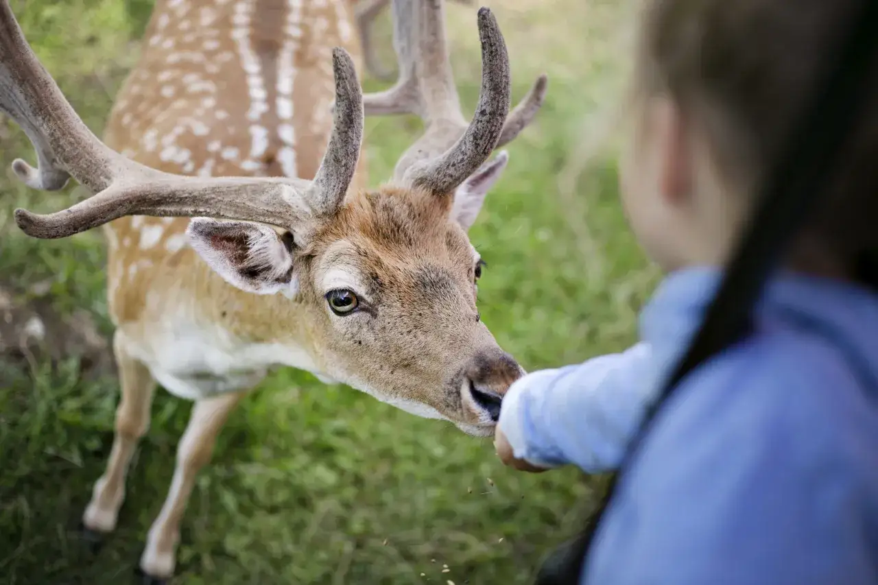 Zdjęcie Mazury z dzieckiem: Praktyczny poradnik dla rodzin na udany urlop