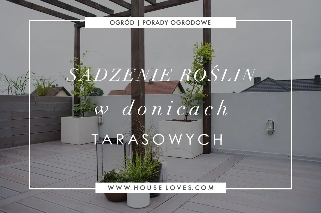 Jak obsadzić taras roślinami w donicach? Inspiracje na zielony, stylowy balkon.