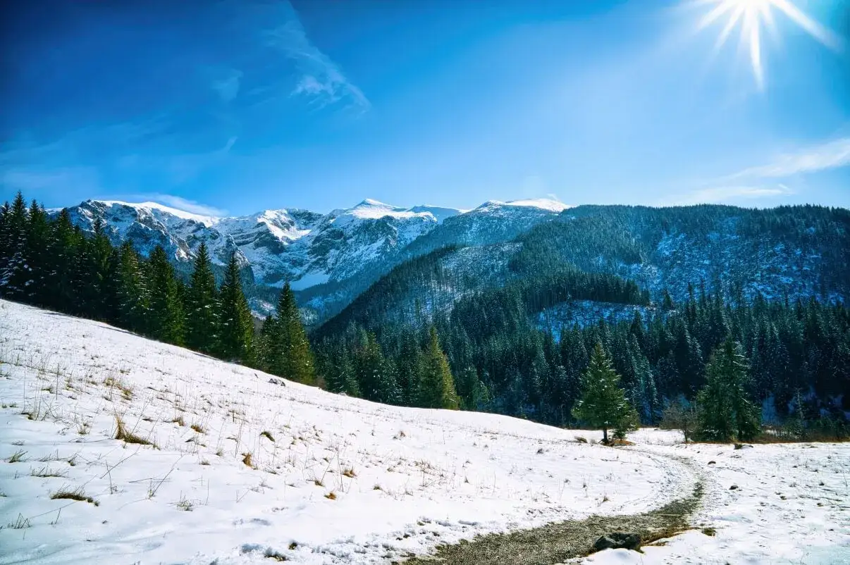 Śnieżne zbocze z drogą prowadzącą do ośnieżonych gór. Idealne miejsce na łatwe szlaki w Tatrach zimą.