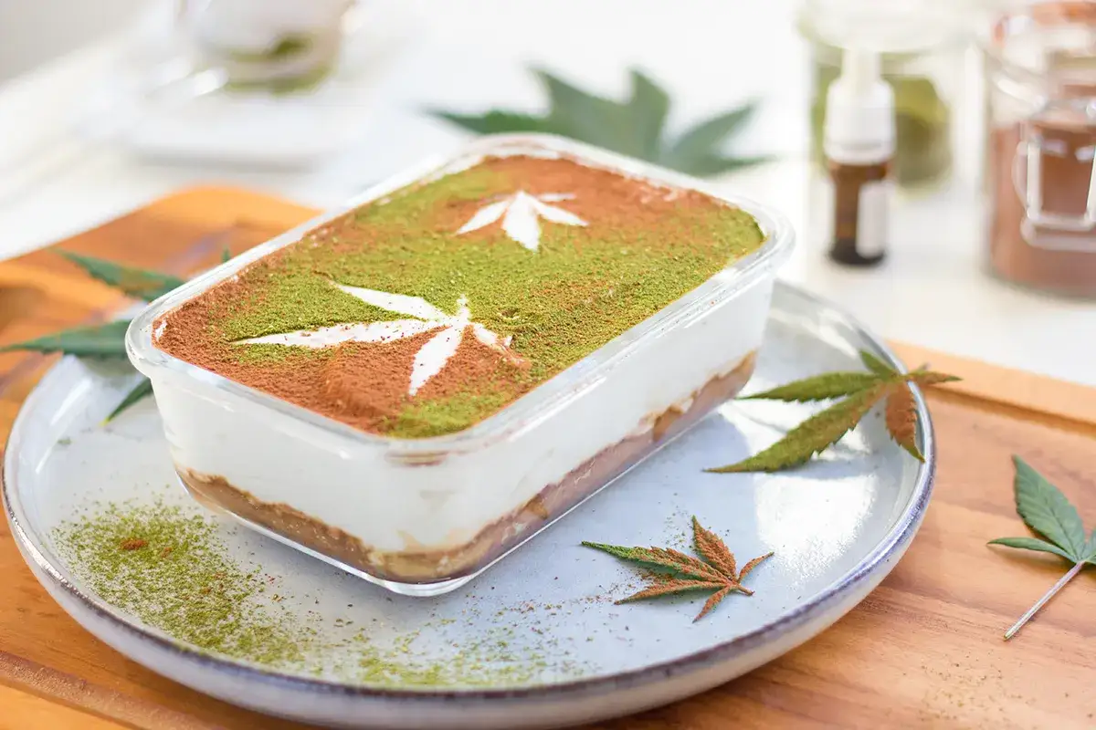 Wegańskie mascarpone gdzie kupić? Pyszny deser z liśćmi konopi na wierzchu, posypany kakao i matchą.