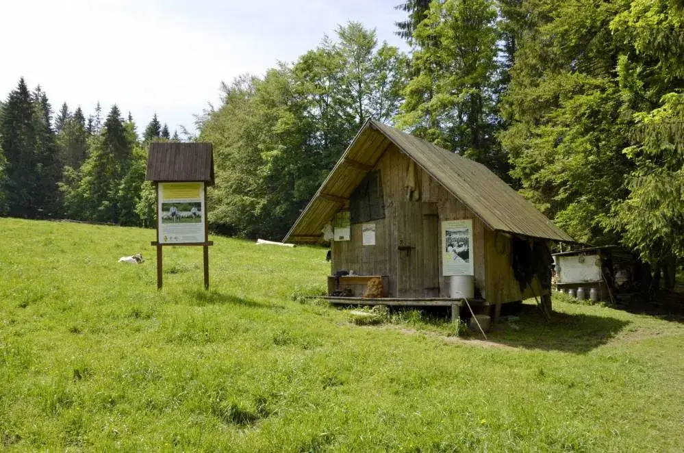Bacówka Na Królowej Soblówka Beskid Żywiecki
