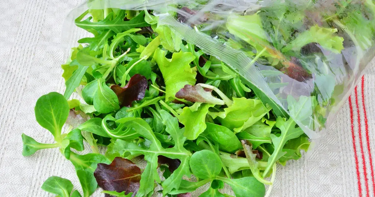 Duża ilość świeżej sałaty, mieszanka liści zielonych i czerwonych, gotowa do jedzenia.