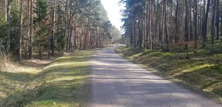 Zdjęcie Trasy rowerowe Radom: Odkryj najpiękniejsze trasy dla każdego kolarza