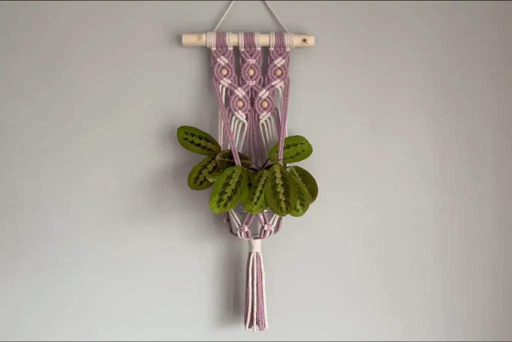 Zdjęcie Jak zrobić makramę kwietnik krok po kroku: szczegółowa instrukcja wykonania