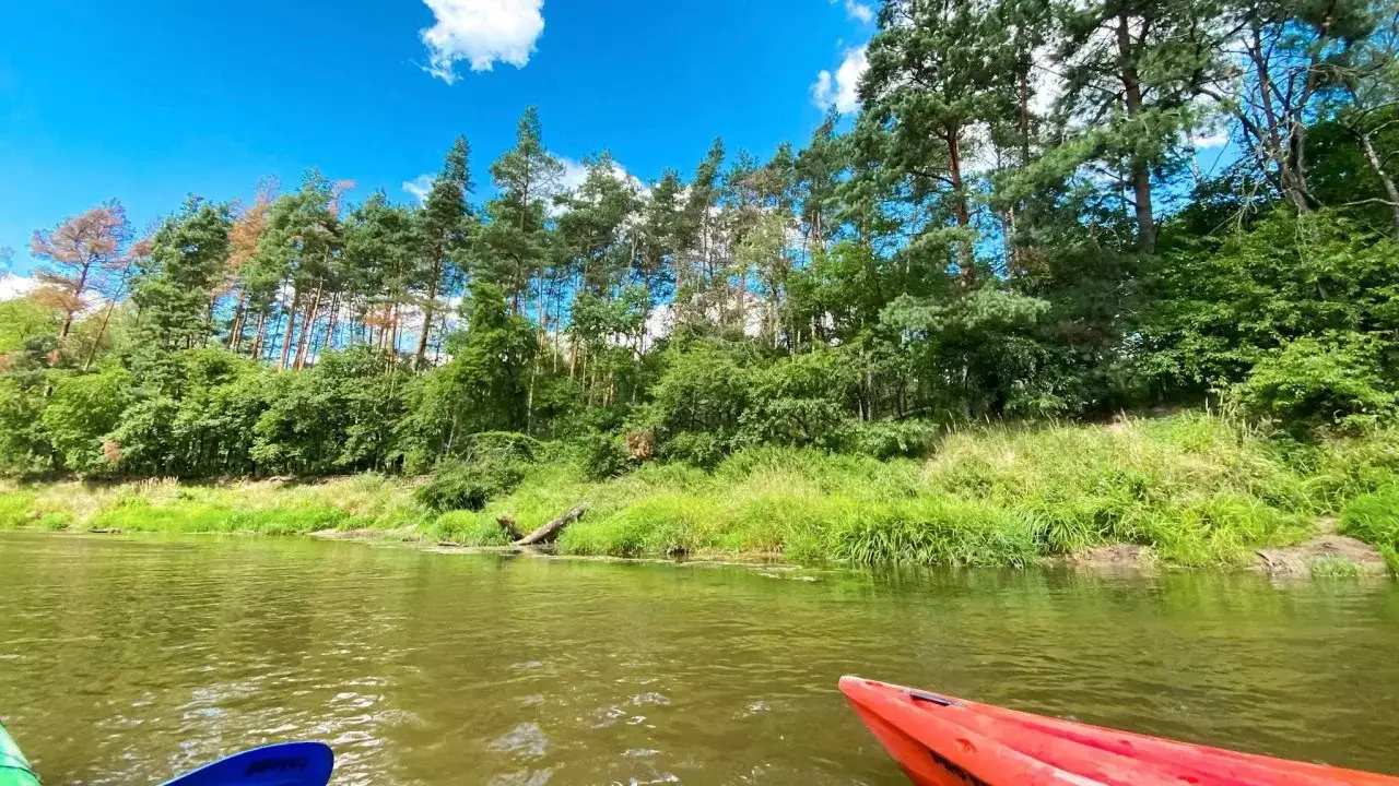 Zdjęcie Spływ kajakowy Amazonka: malownicze trasy i praktyczne porady