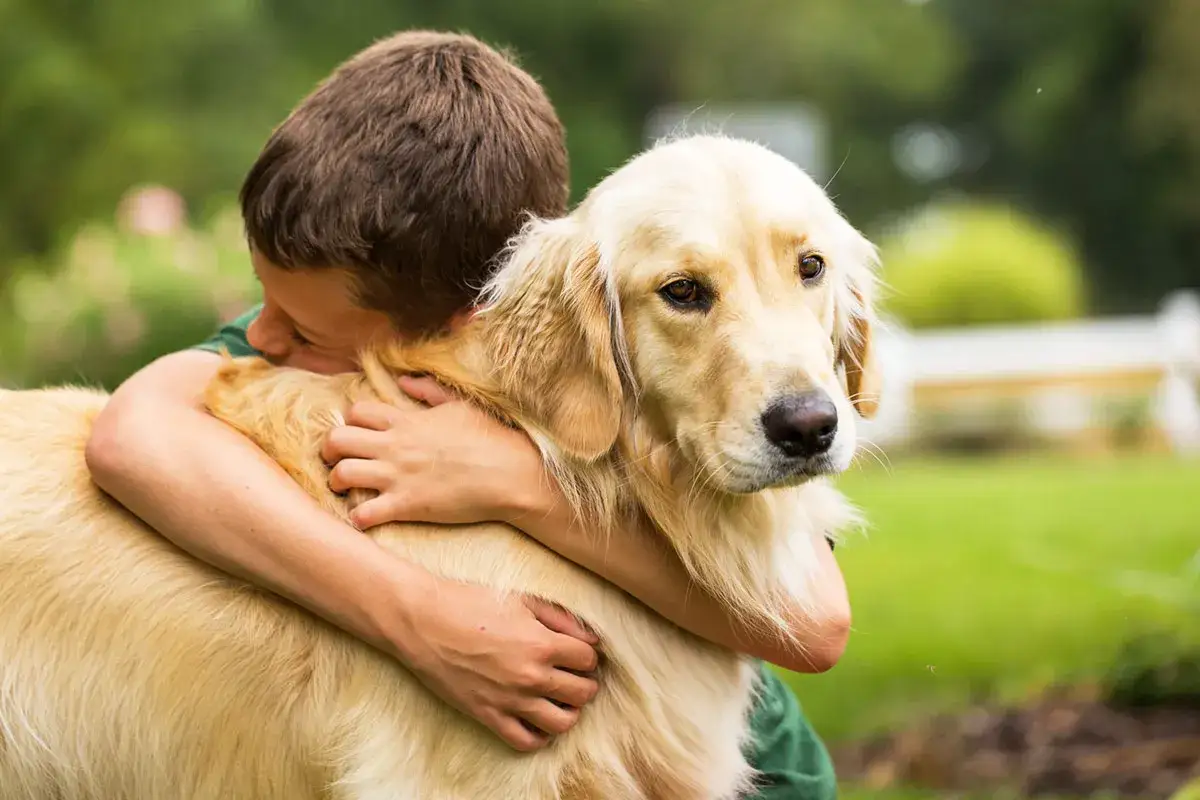 Zdjęcie Jaka rasa psa dla dziecka? Wybierz najlepszego towarzysza dla malucha