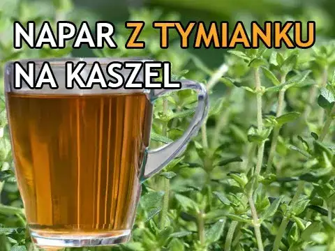 Zdjęcie Jak zrobić napar z tymianku na kaszel i złagodzić objawy szybko
