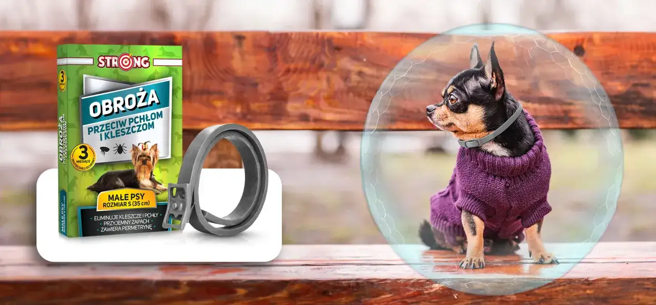 Zdjęcie Najlepsza obroża przeciw kleszczom – skuteczna ochrona dla zwierząt